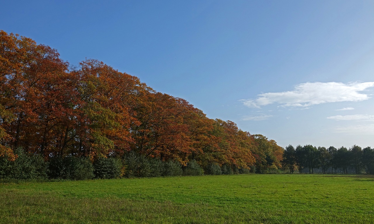Met haar droomcamping wil Rosa psychische klachten verhelpen