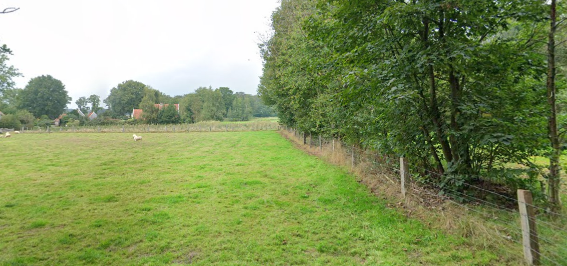 Raad van State geeft groen licht voor transformatie camping tot eco-bungalowpark / Foto: google maps https://maps.app.goo.gl/VpbqTsdvXzpWwzNT6
