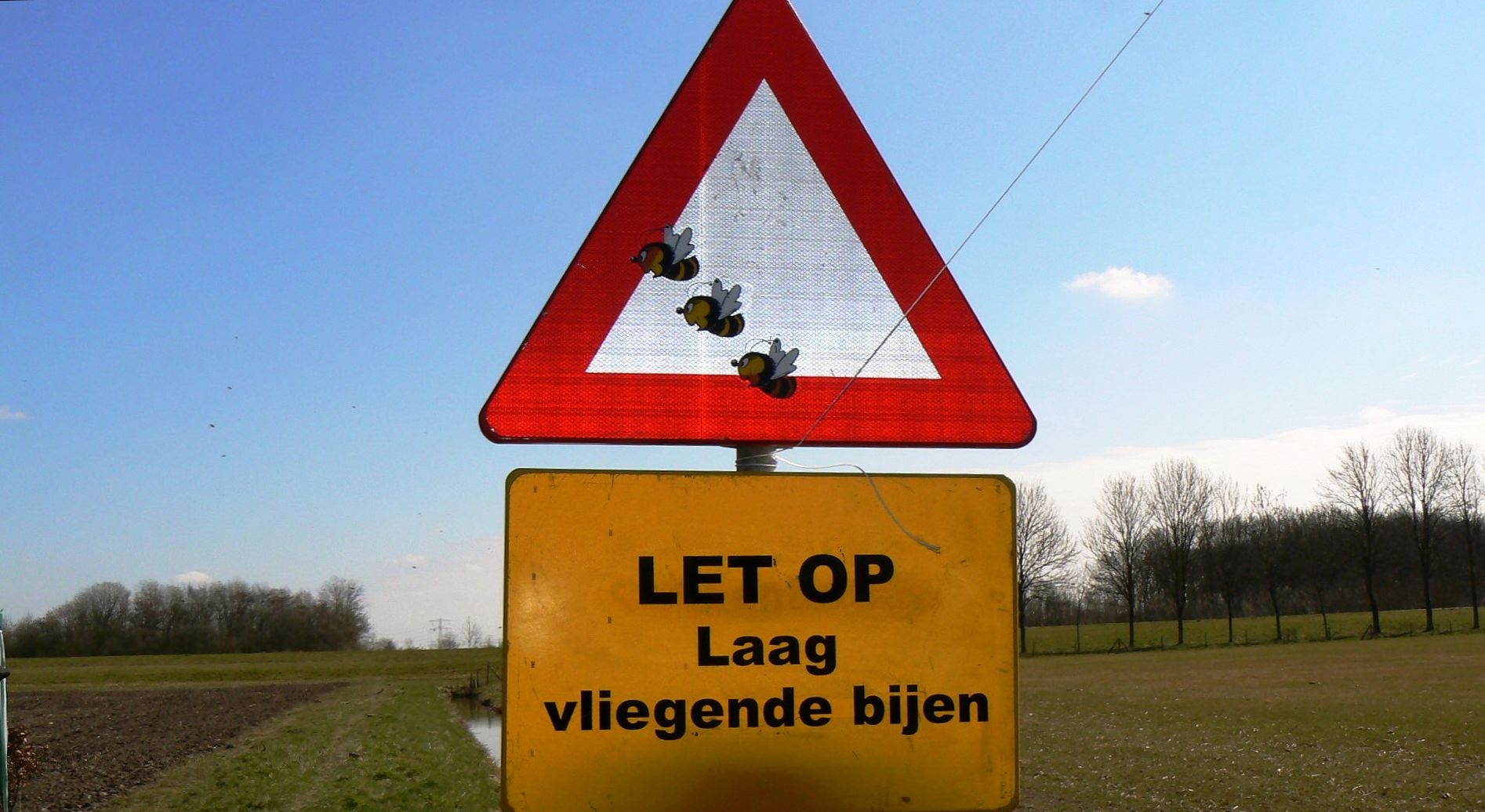 Bijen werden geteld, weer of geen weer / Afbeelding: "Pas op... Laagvliegende bijen" door Roel van Deursen