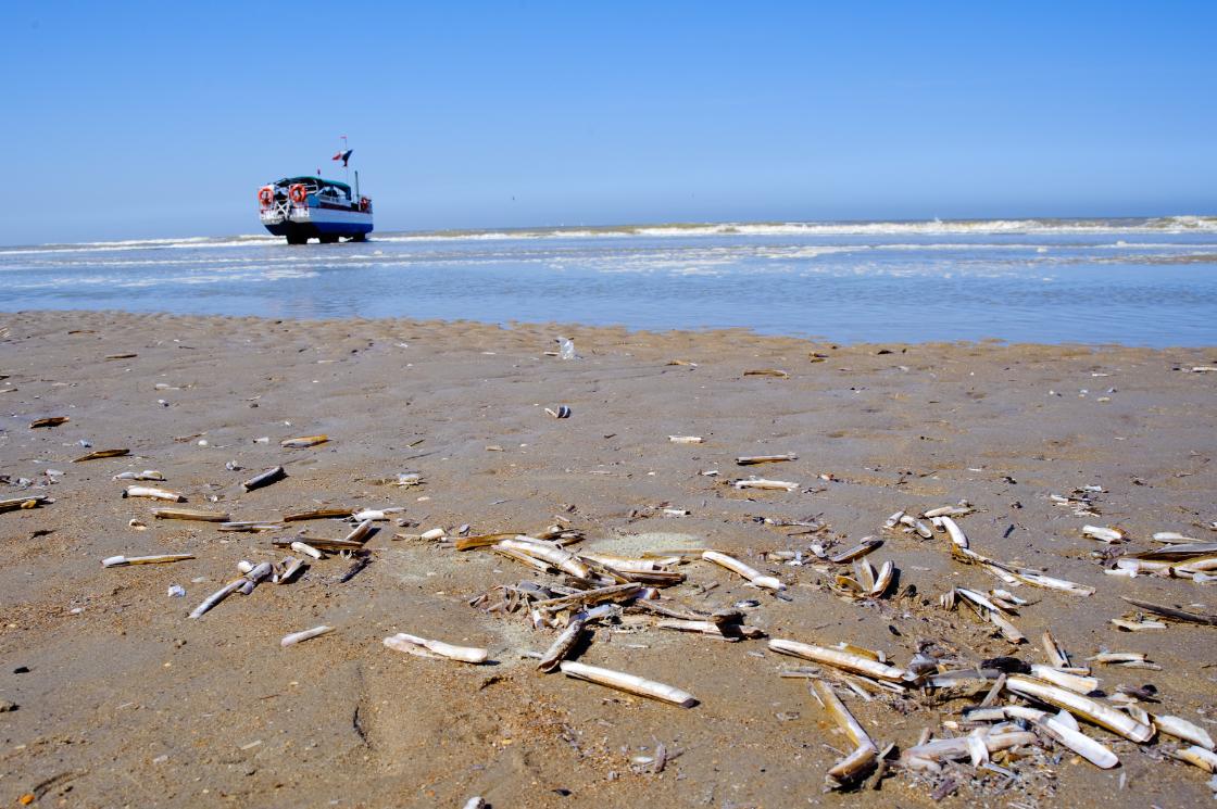 ‘Natuurgebieden in zee ondermaats beschermd’