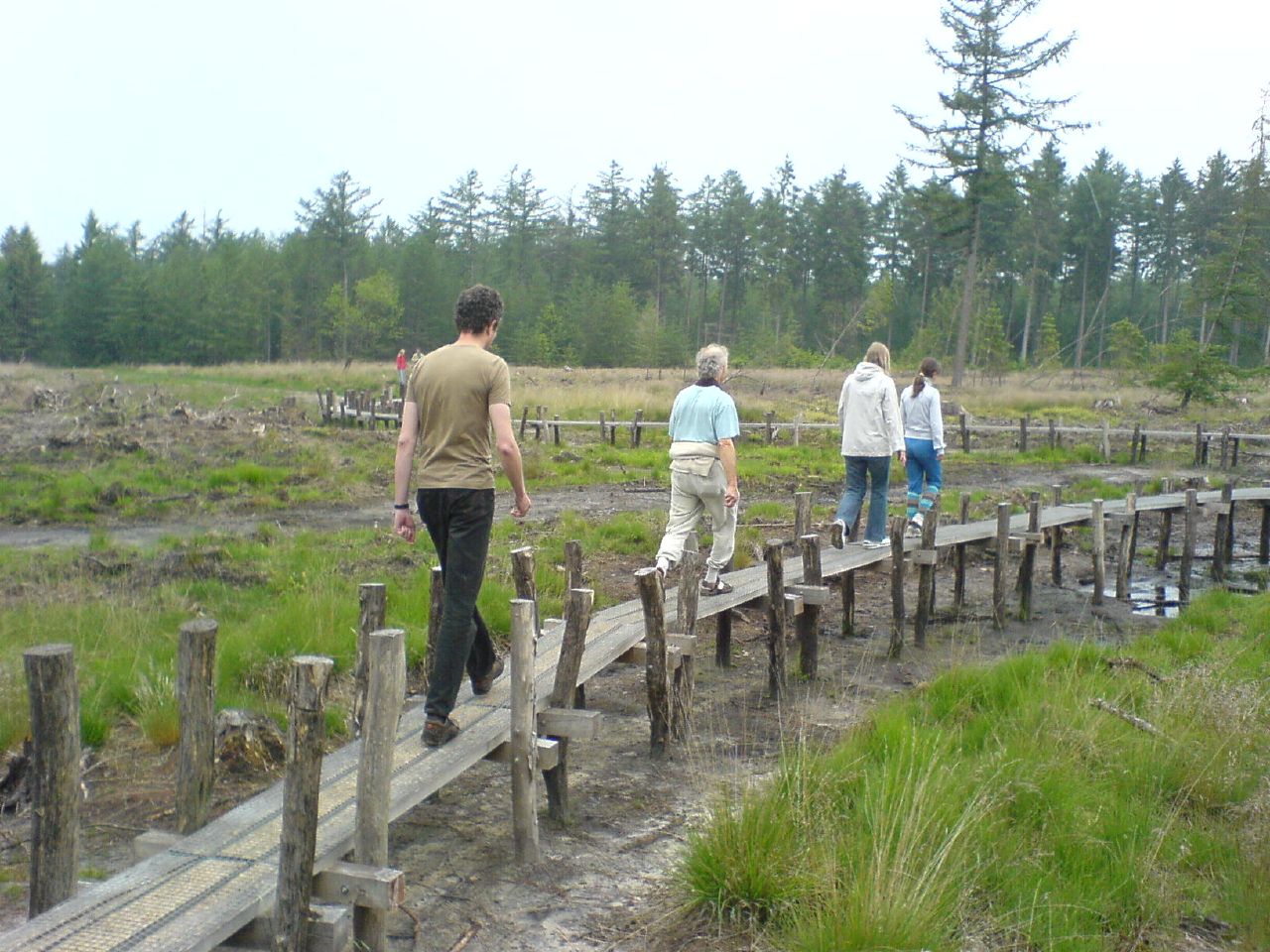 Drenthe heeft ambitie om wandelprovincie van Nederland te worden / Foto: "Bij Oma Lenne op bezoek" door Tijs B.