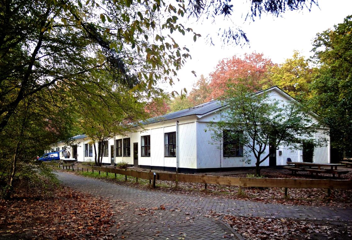 Pilot op Camping de Eekhoorn is inkijkje in opgeknapt vakantiepark / Afbeelding: "Groepsaccommodatie in het bos" door E. Dronkert