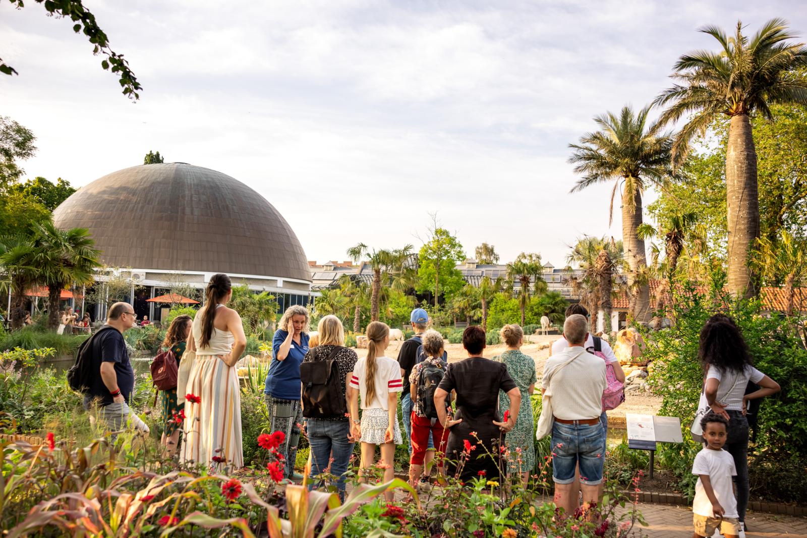 Rondleiding in ARTIS-Park, Foto ARTIS, Samuel van Leeuwen