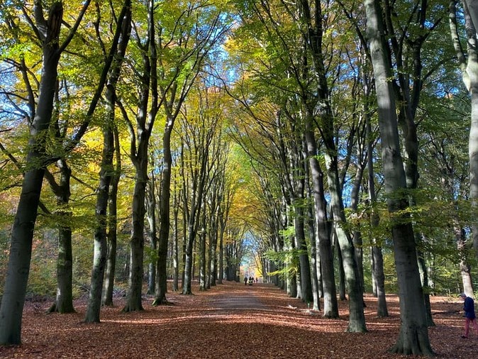 Wandelnetwerken vaak gebruikt en scoren vooral in Drenthe goed