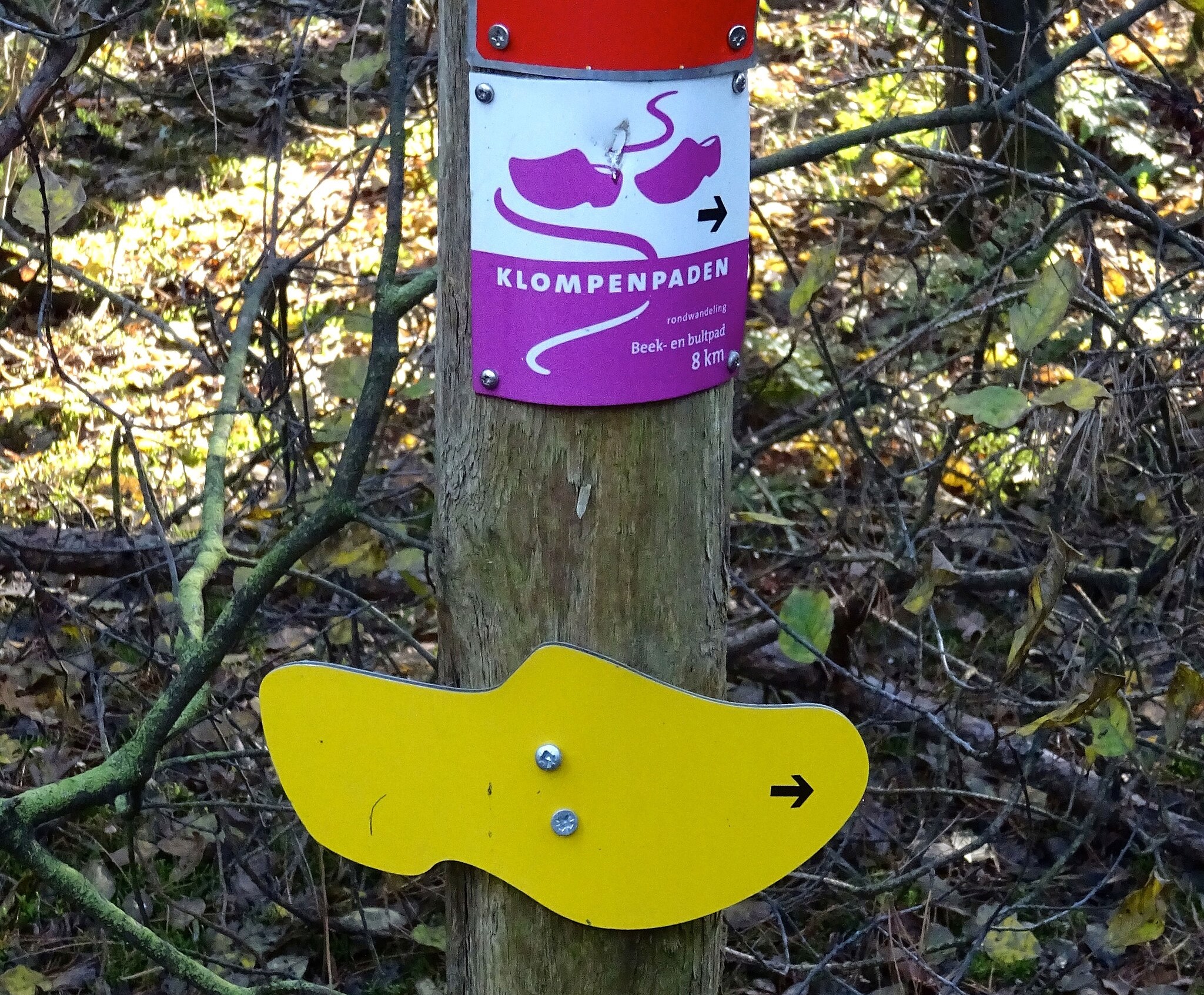 Wandel of fiets langs kunst aan het Klompenpad