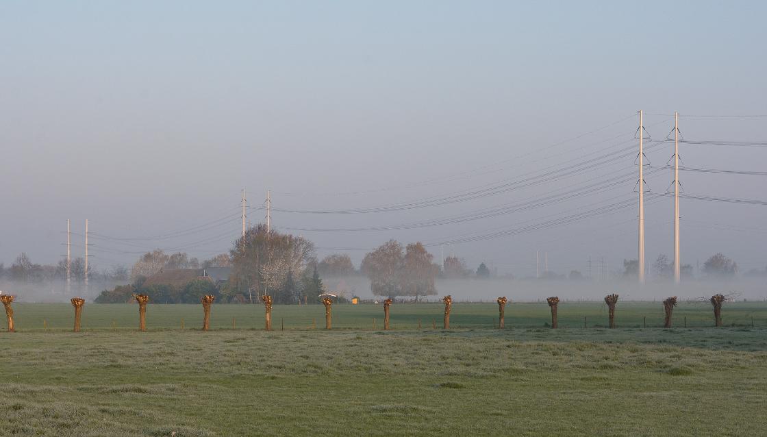 ‘Dauwtrappen dit jaar koud kunstje’ / Foto: "Etten in ochtenddauw" door Rob Dammers