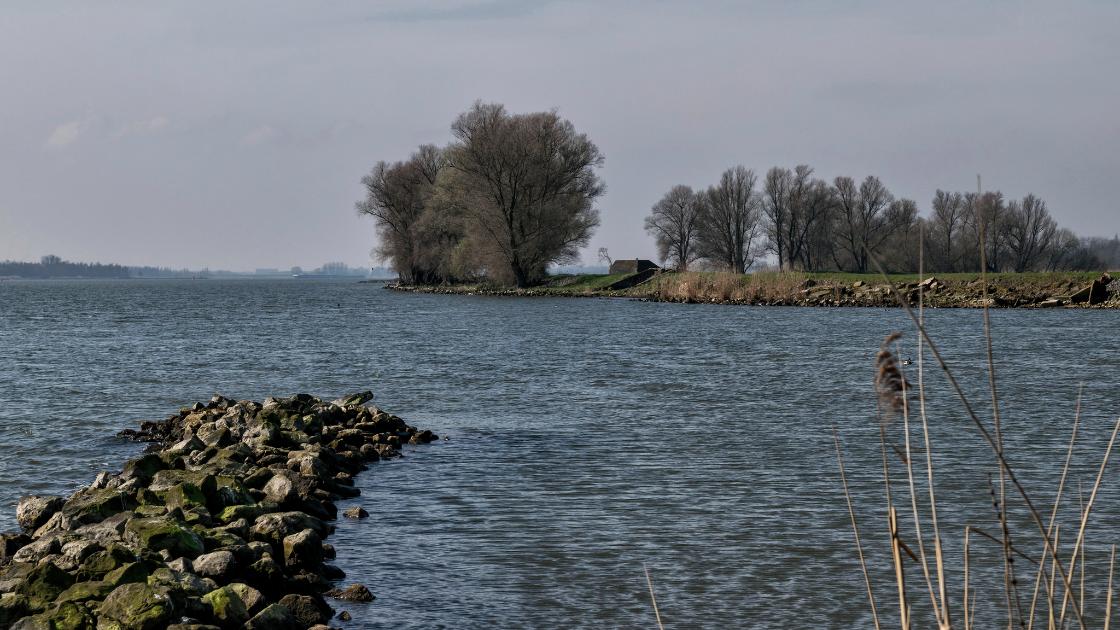 Nationaal Park De Biesbosch viert 30-jarig jubileum / Foto: "Zicht op de Zuidplaat vanaf de krib in de Nieuwe Merwede, Biesbosch, Dordrecht - (Explored)" door Paul van de Velde