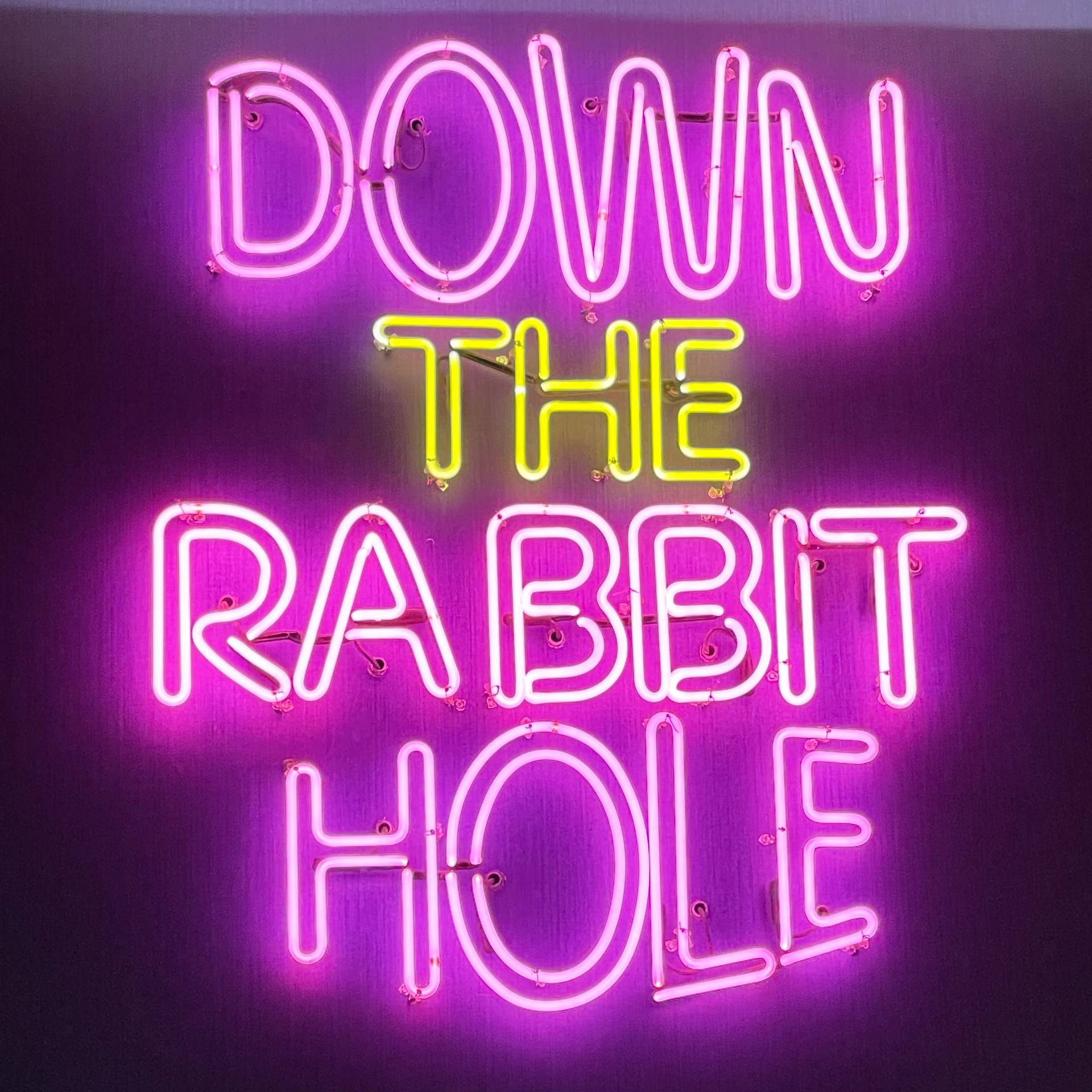 Blokkenschema Down The Rabbit Hole 2024 eindelijk online