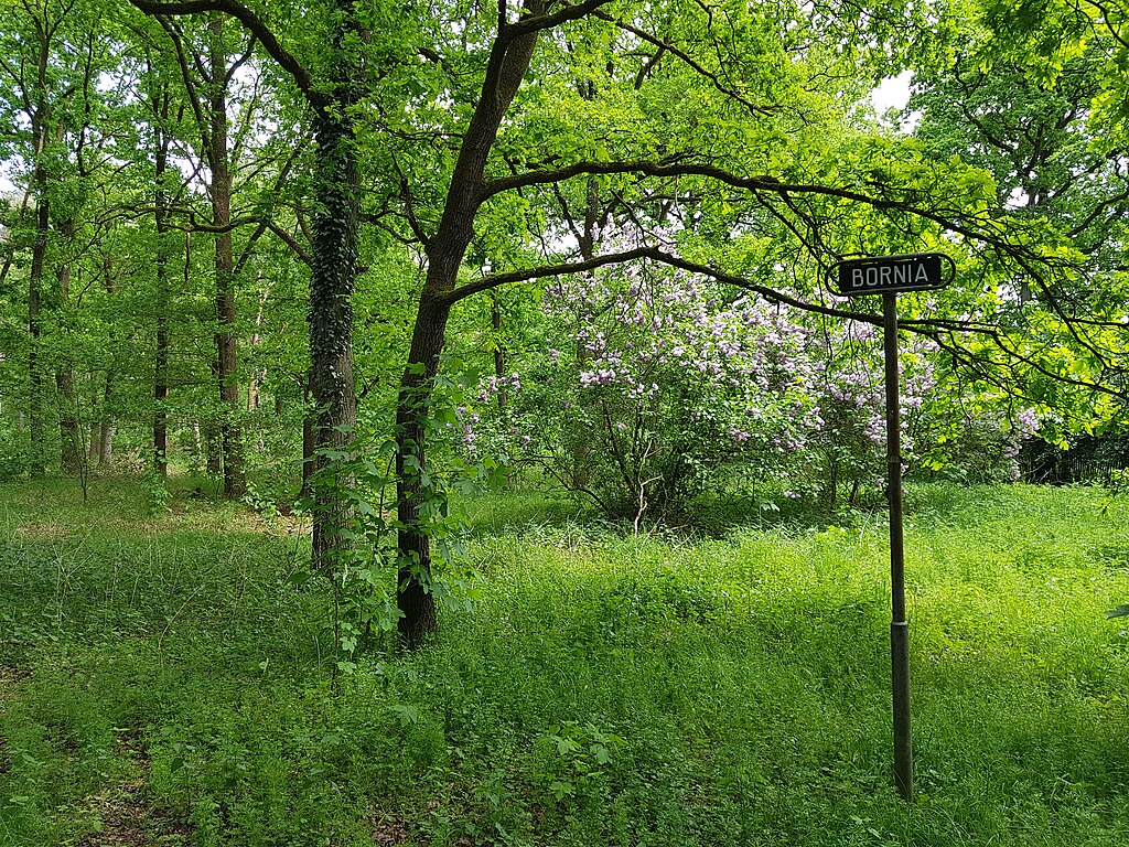 Twee stukken natuur bij Driebergen in beheer van Utrechts Landschap