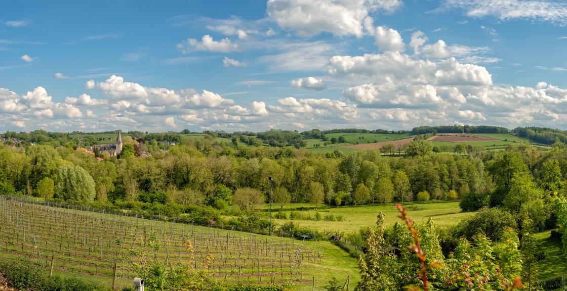 Tegenstrijd maar werkelijkheid: natste plek in Nederland droogt uit door stortbuien / Foto: "Panorama Noorbeek Zuid-Limburg - NL" door Frans Berkelaar