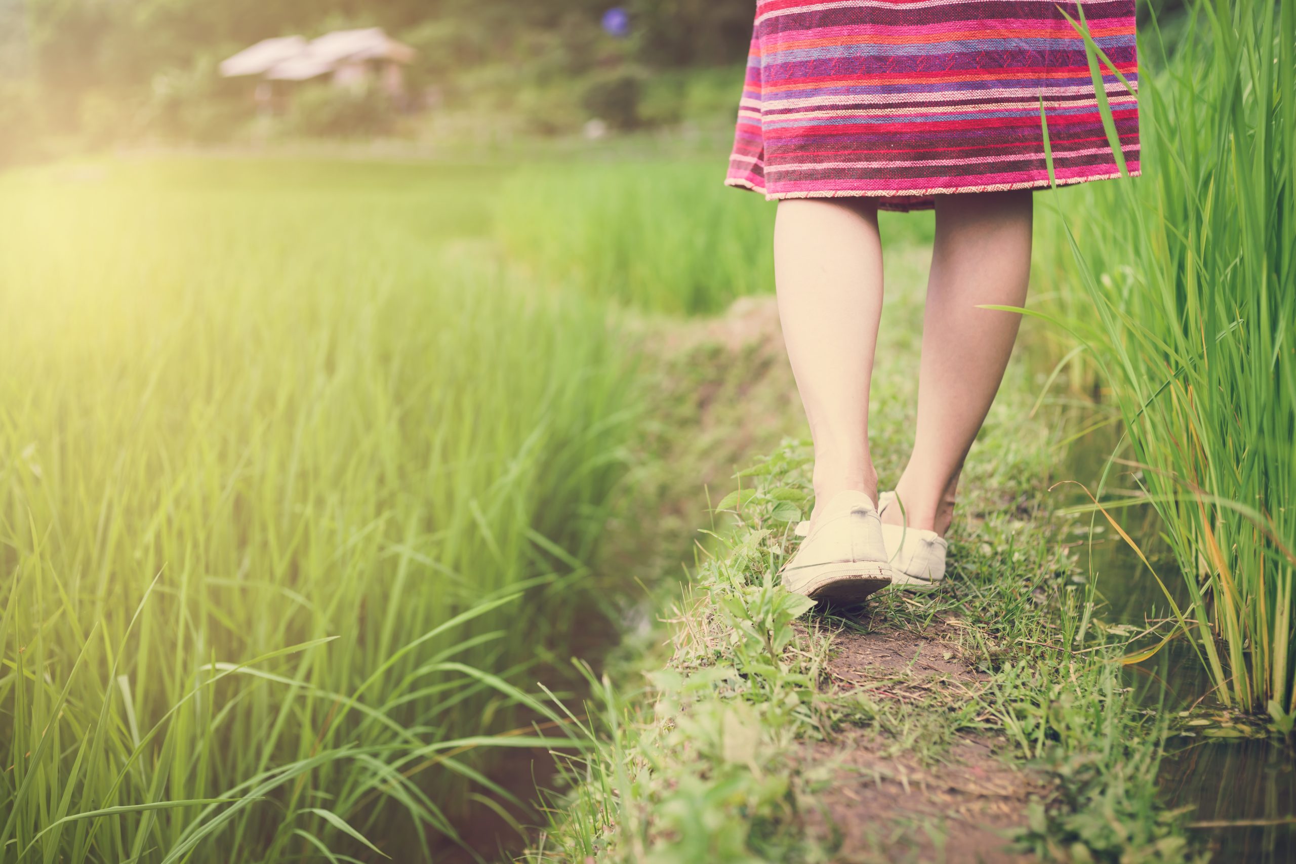 Dit zijn een aantal leuke activiteiten om te vieren dat je geslaagd bent