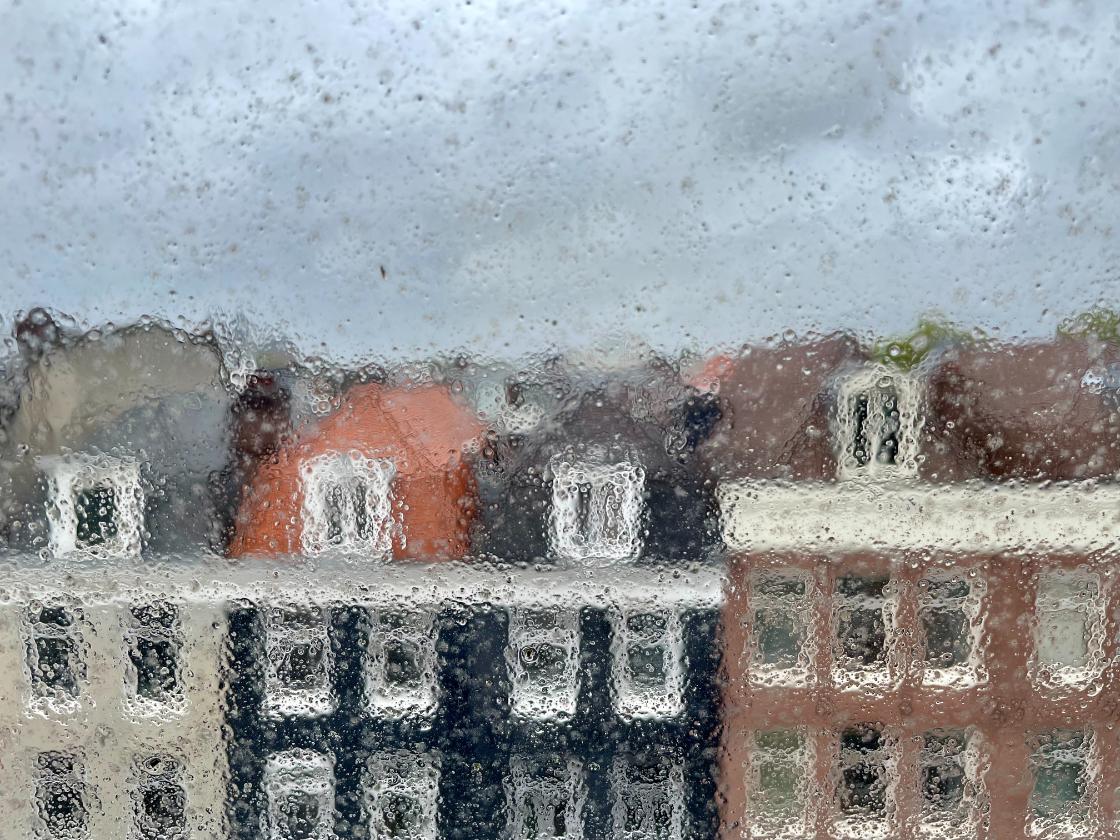 Temperatuur in juli in lijn met gemiddelde, wel natte maand