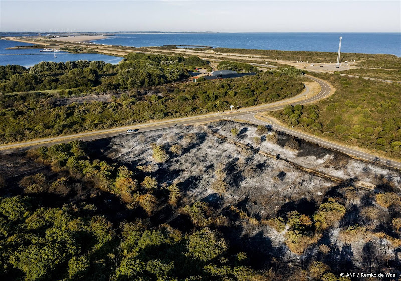 Natuur rondom strand