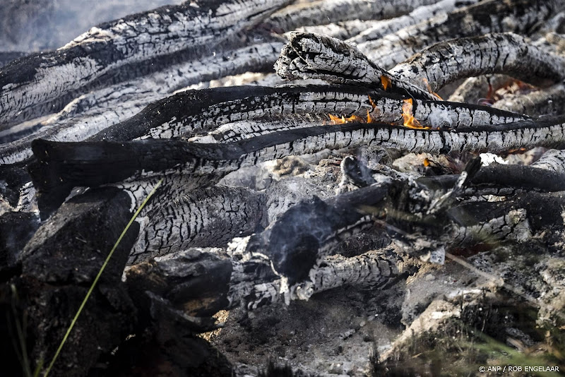 Hogere kans op natuurbranden bij Den Haag