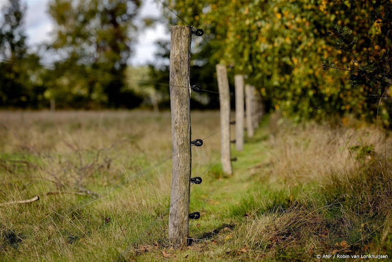 Staatsbosbeheer: mijd bossen Drenthe even na noodweer