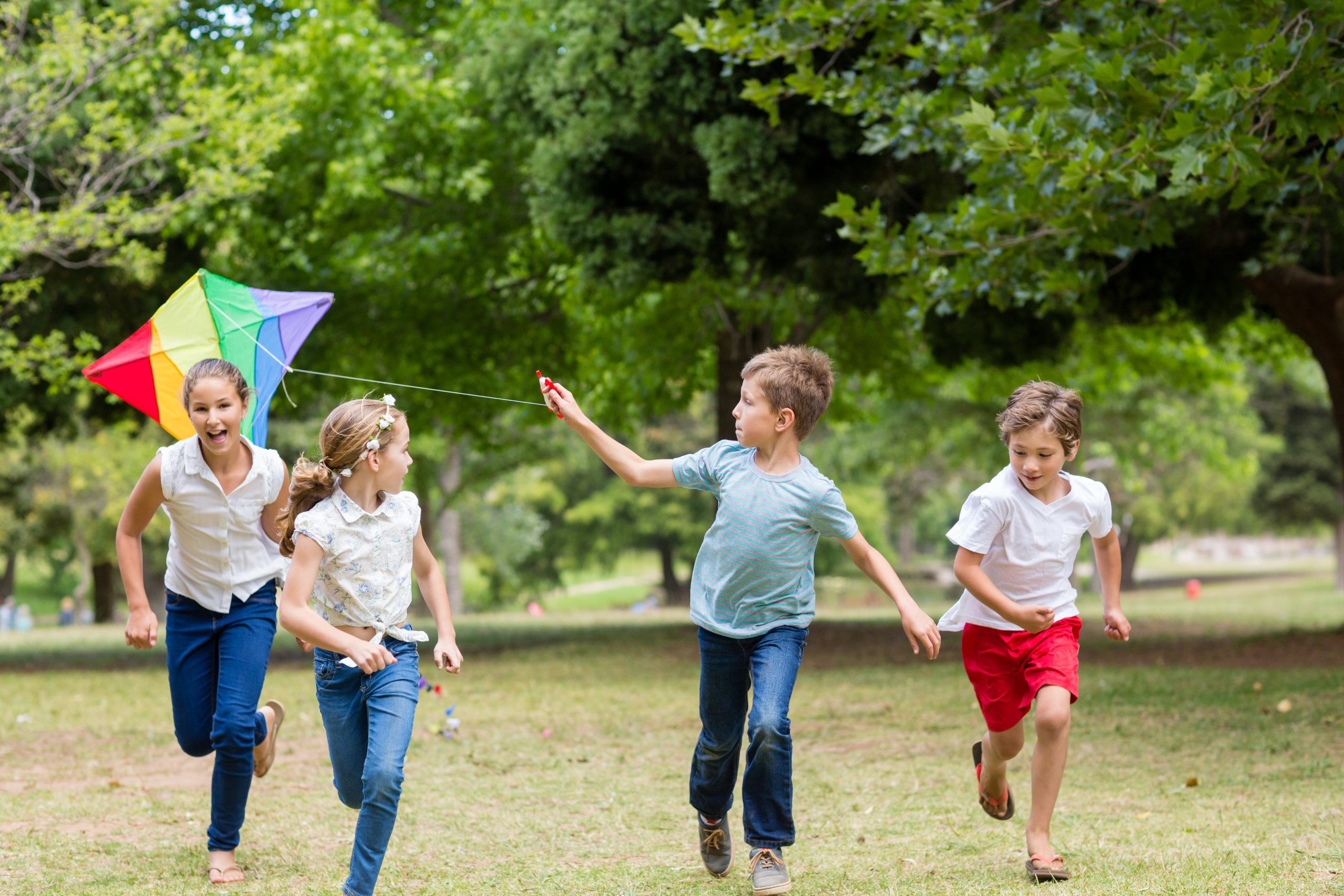 kinderen spelen met vlieger in park