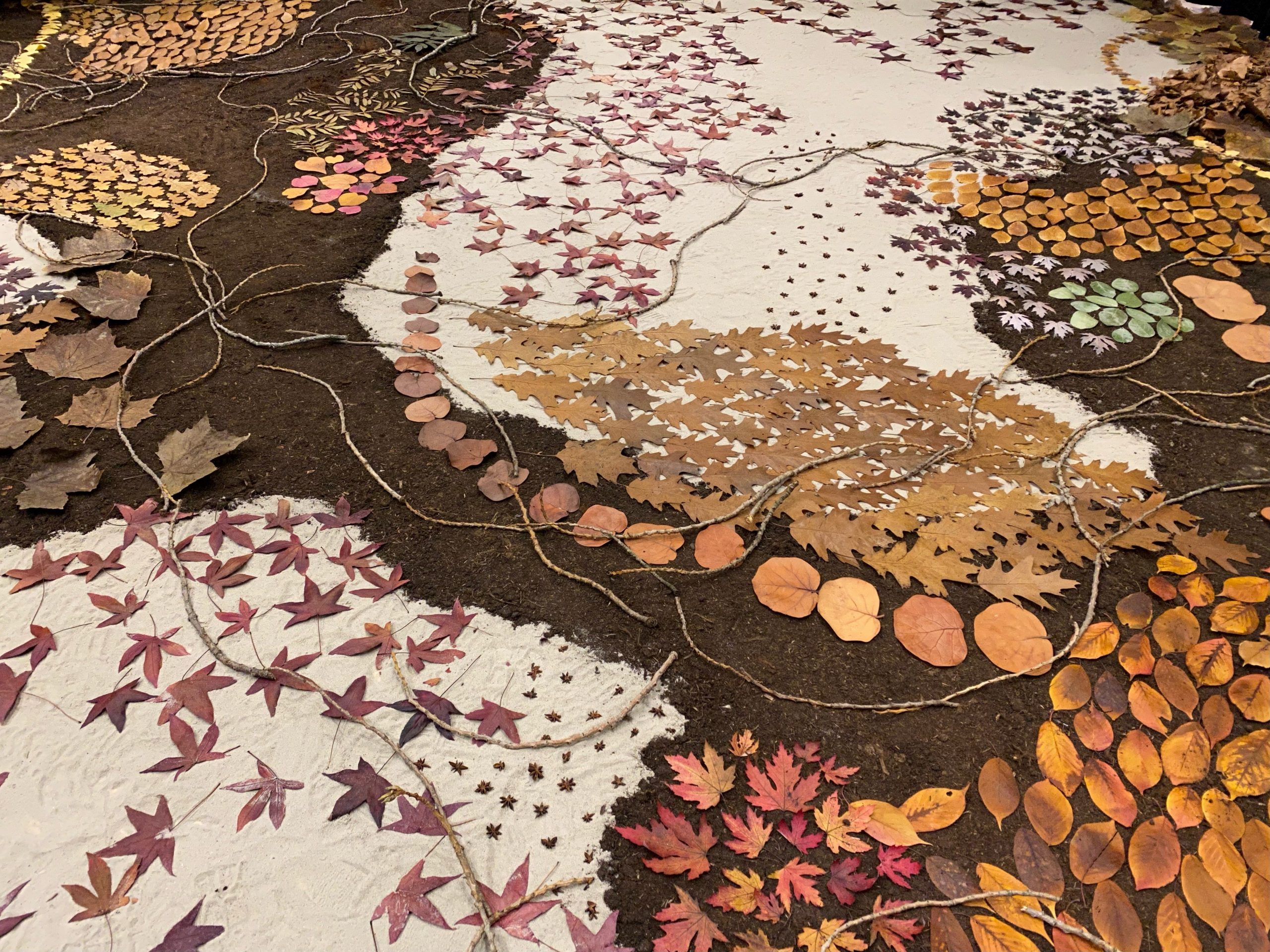 Voorlopig laatste tentoonstelling in Museum Prinsenhof