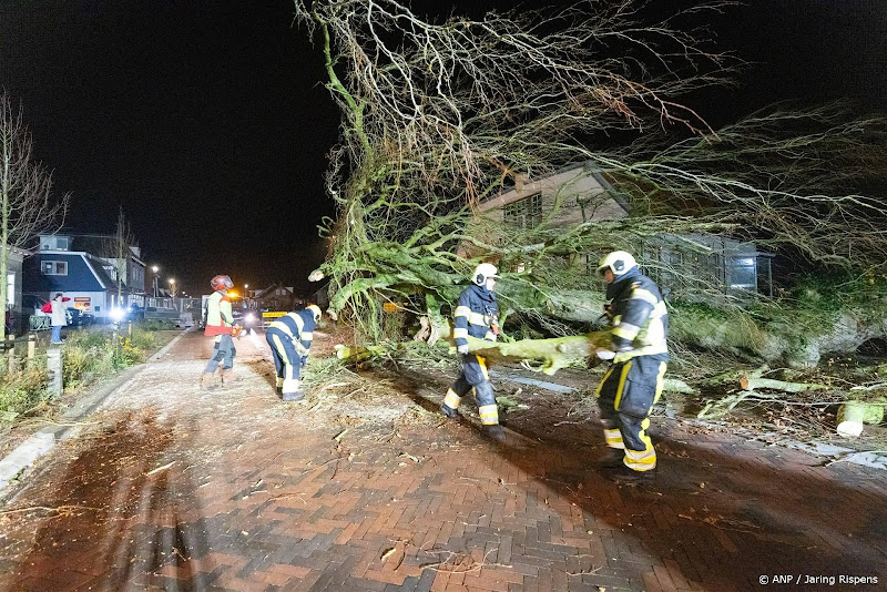 omgevallen boom brandweer