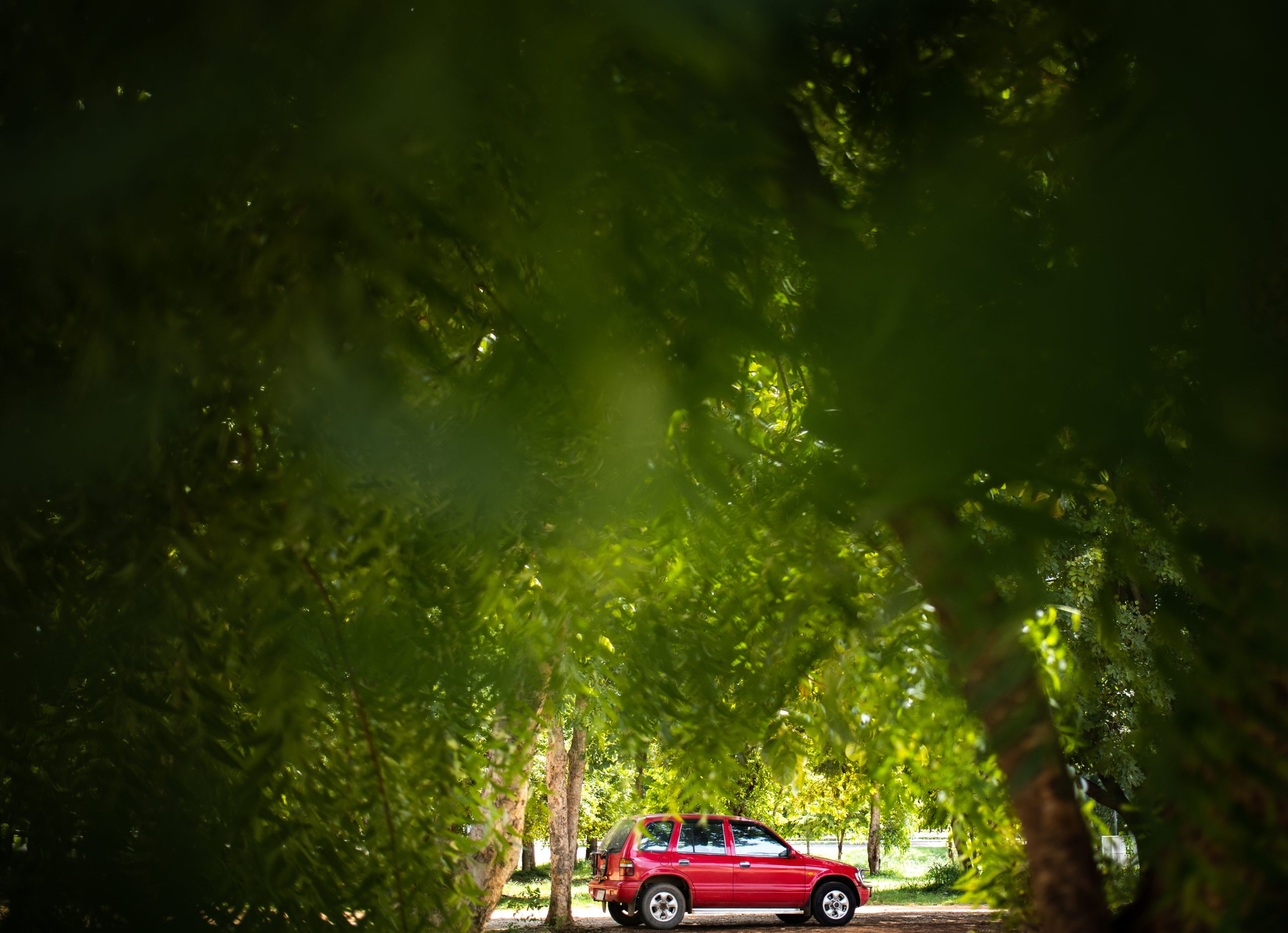 Brabant wil auto's weren bij natuurgebieden