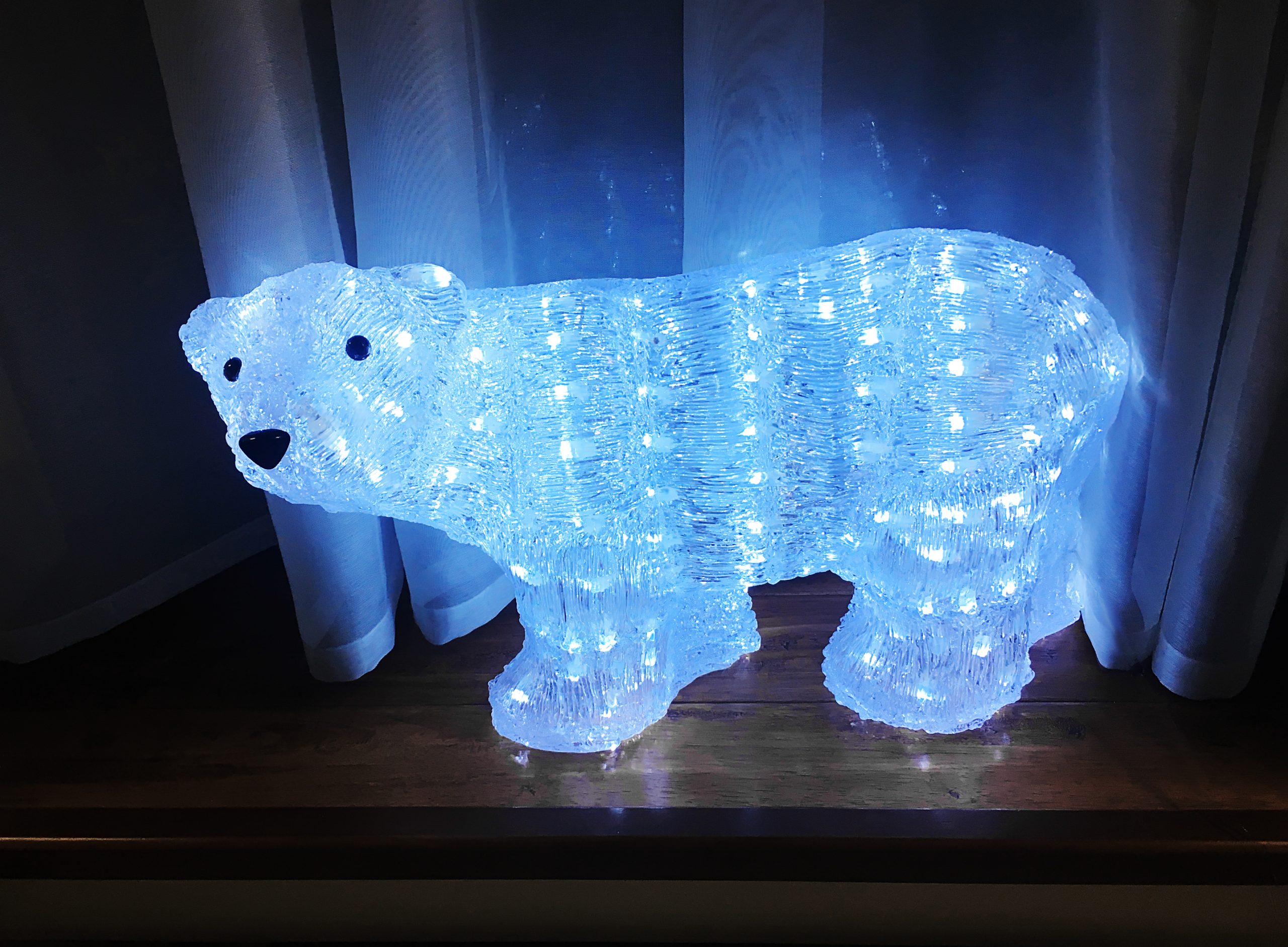 Verdwenen ijsbeer uit Emmen weer teruggevonden bij oudejaarsvereniging De Nachtdravers