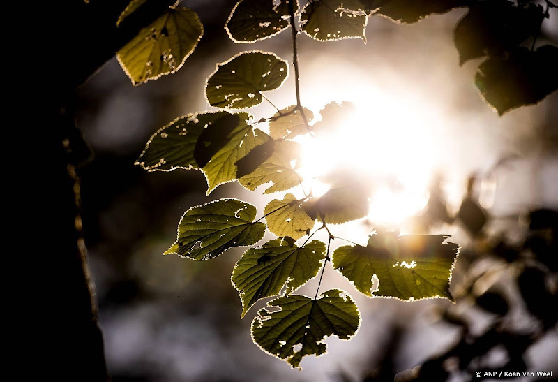 Uitgeverij meldt overlijden dichter Esther Jansma (66)