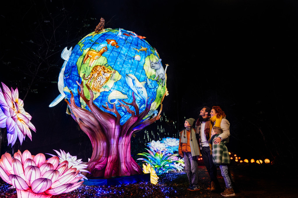 Light Safari Beekse Bergen viert 150.000ste bezoeker