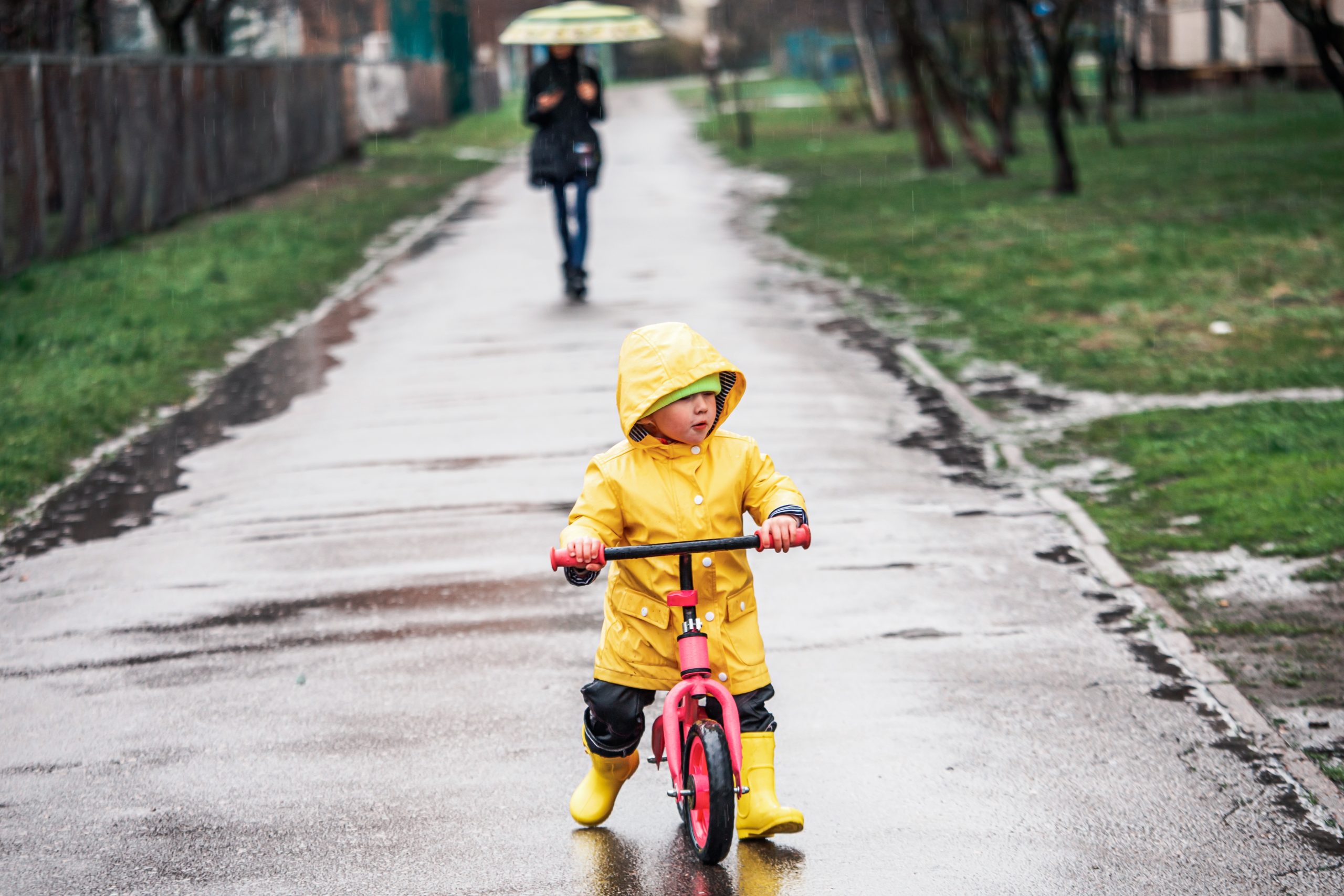 Plensbuien en harde wind laten de lente even verdwijnen