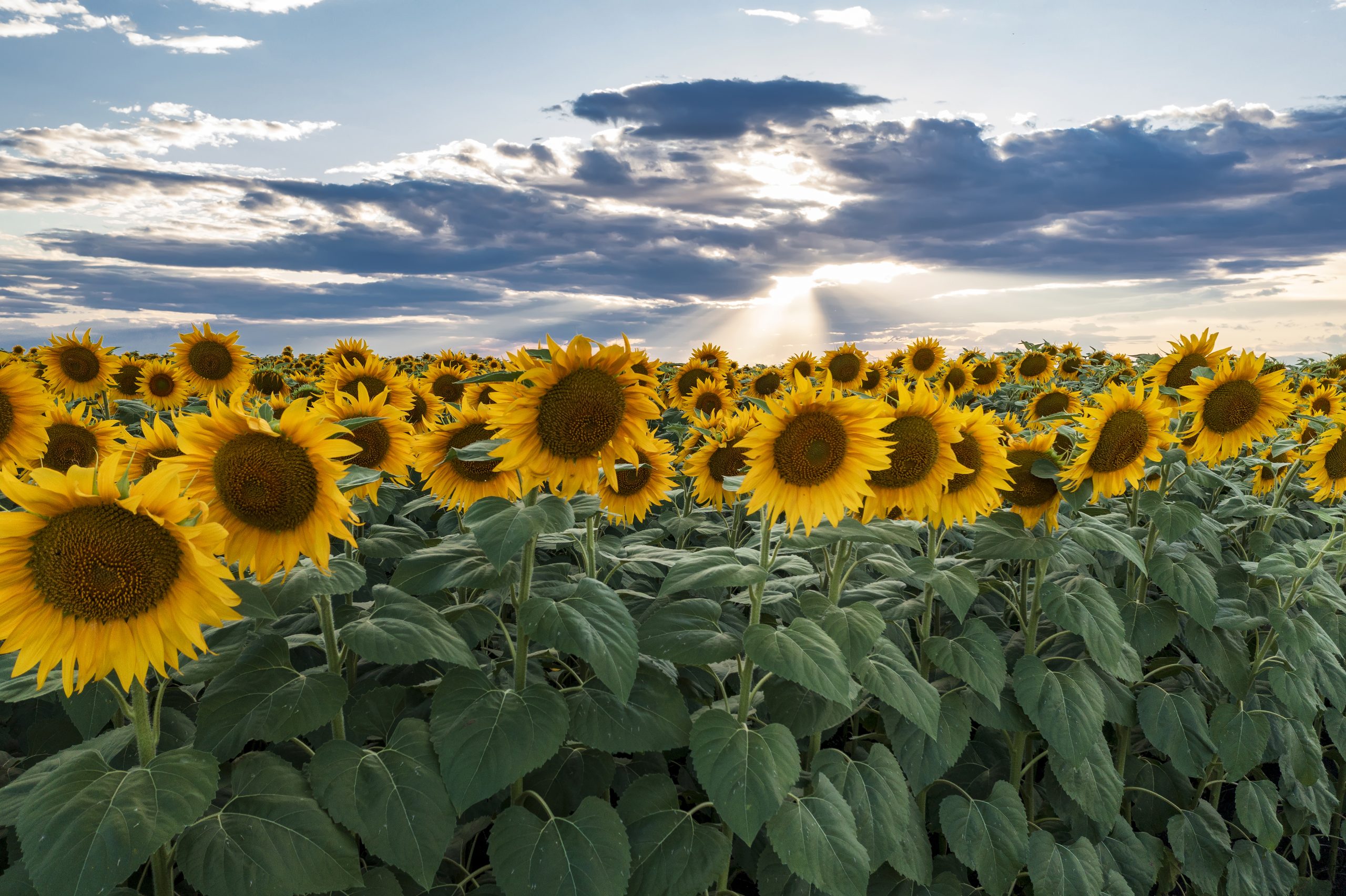 Lente is zonnig en warm van start gegaan