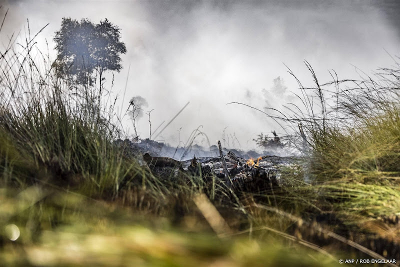 natuurbrand ede