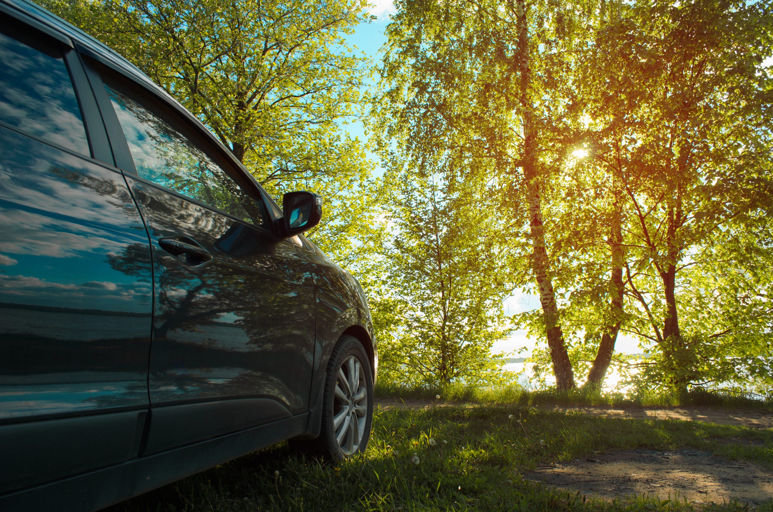 Ingang natuurgebieden geblokkeerd door 'asociale' automobilisten