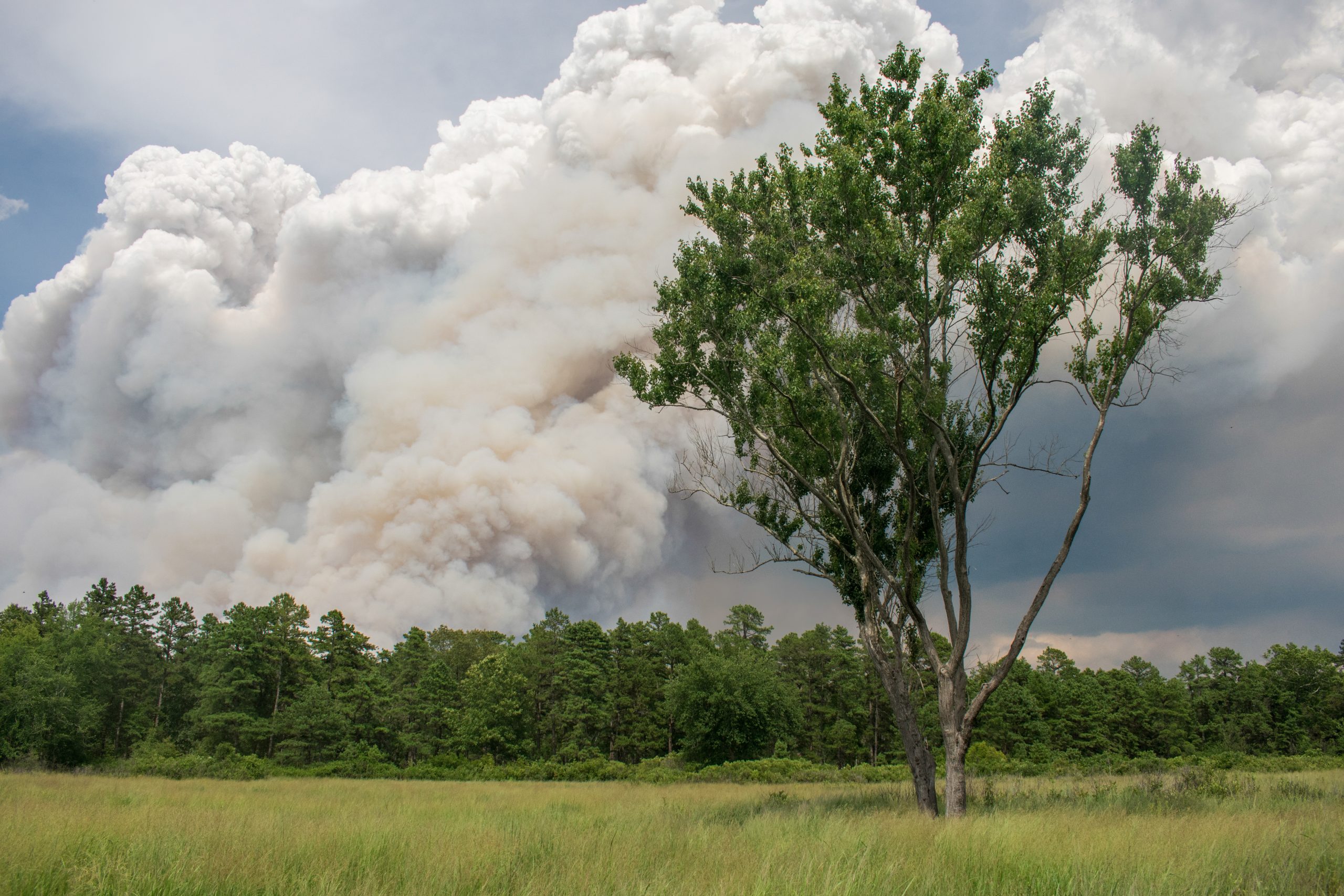 Kans op natuurbrand in Drenthe vanwege aanhoudende droogte