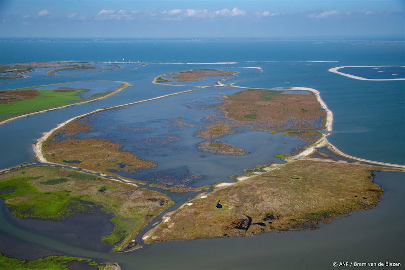 biodiversiteit nederland