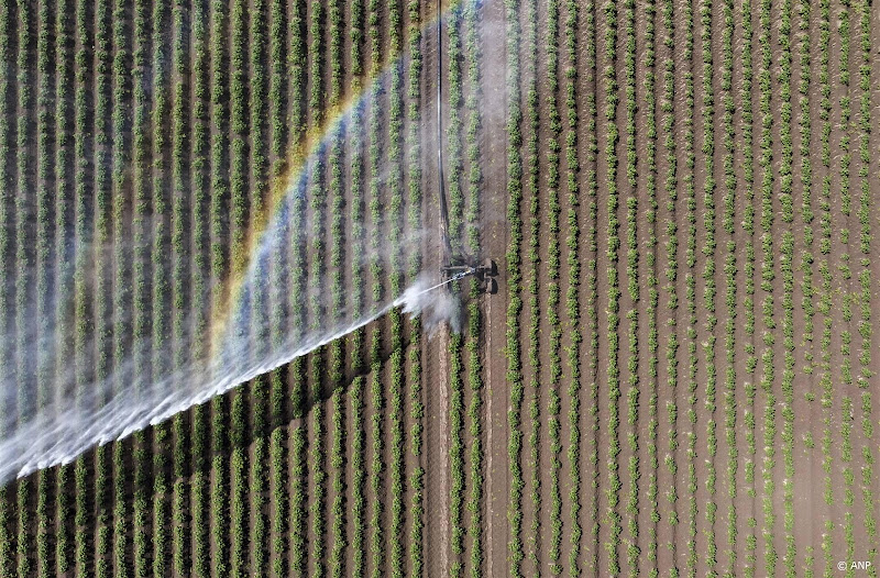 regenboog door sproeien landschap
