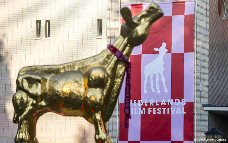 nederlands film festival