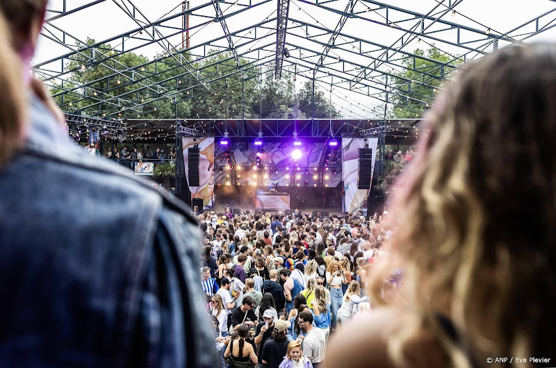 down the rabit hole festival