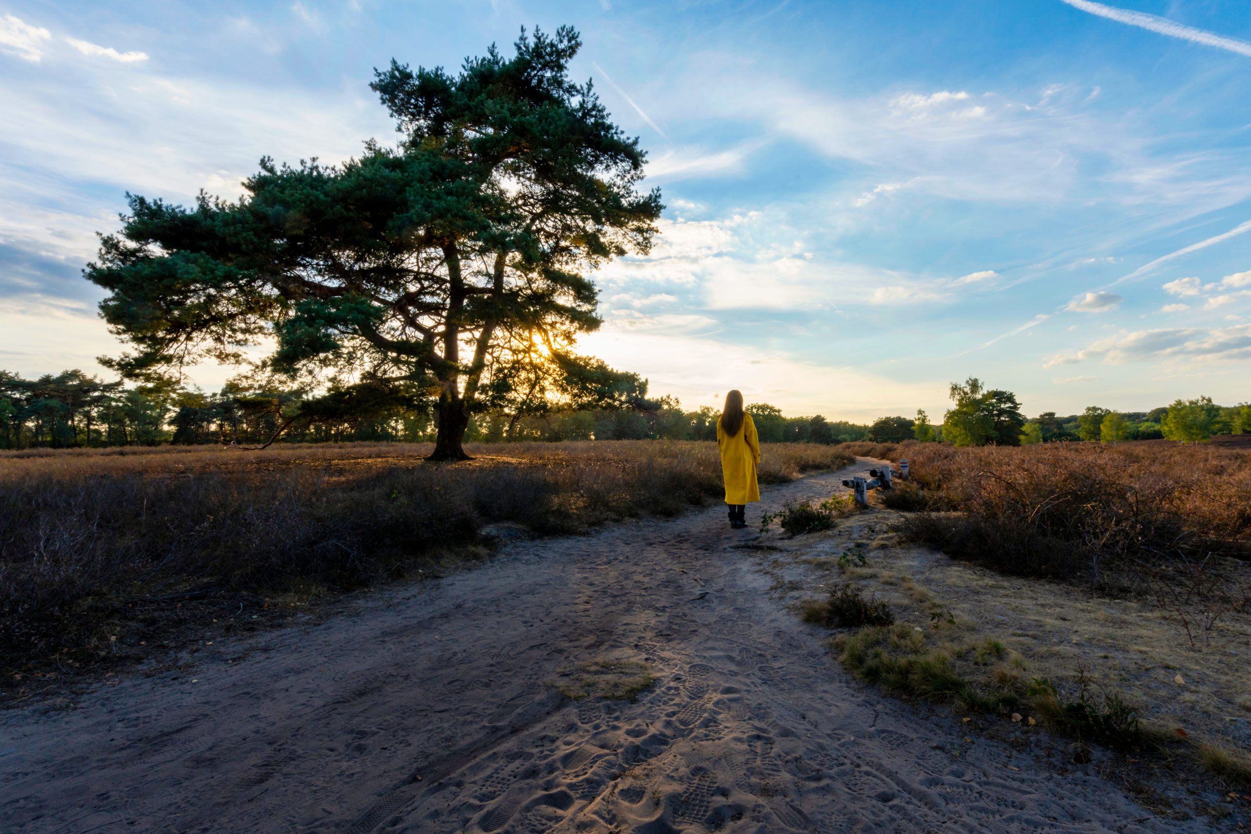 iemand die wandelt over de heide veluwe