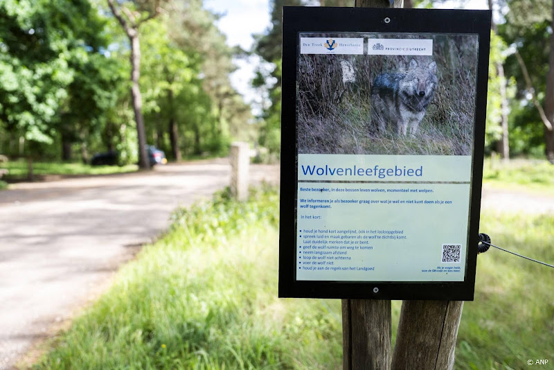 Minder kinderen in speeltuin na bijtincident met mogelijk een wolf