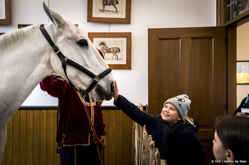 Amerigo 2.0, paard van Sinterklaas, op 30-jarige leeftijd overleden