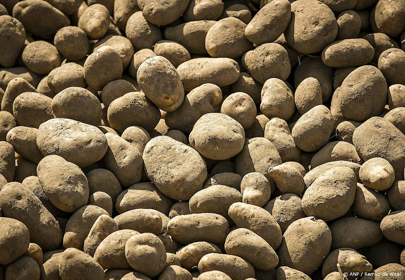 aardappelen