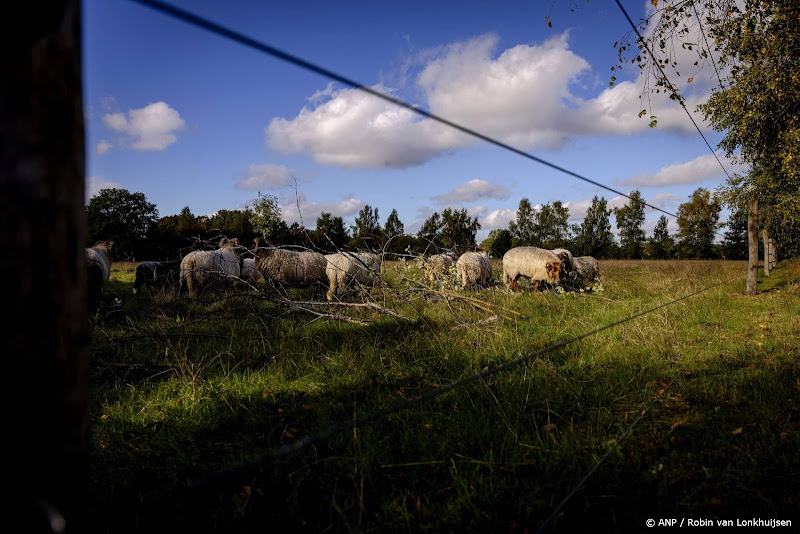 vee achter prikkeldraad