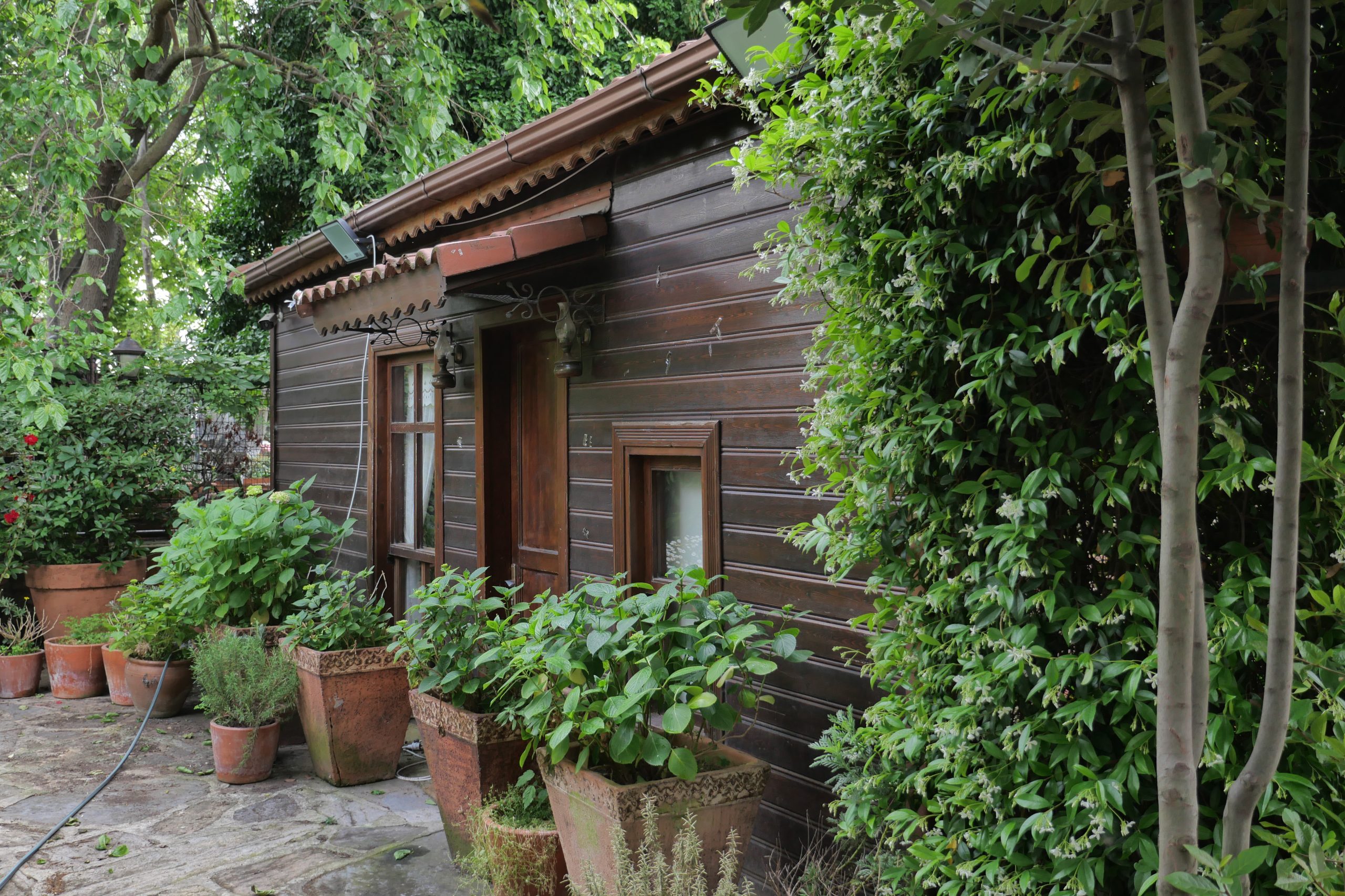 houten bungalow in natuur
