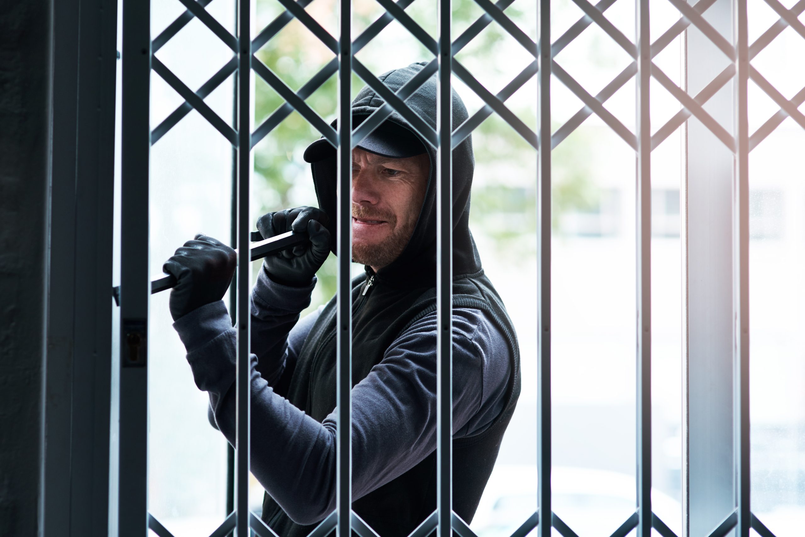 Ongewenste nachtelijke bezoekers richten schade aan bij Berkenhof’s Tropical Zoo