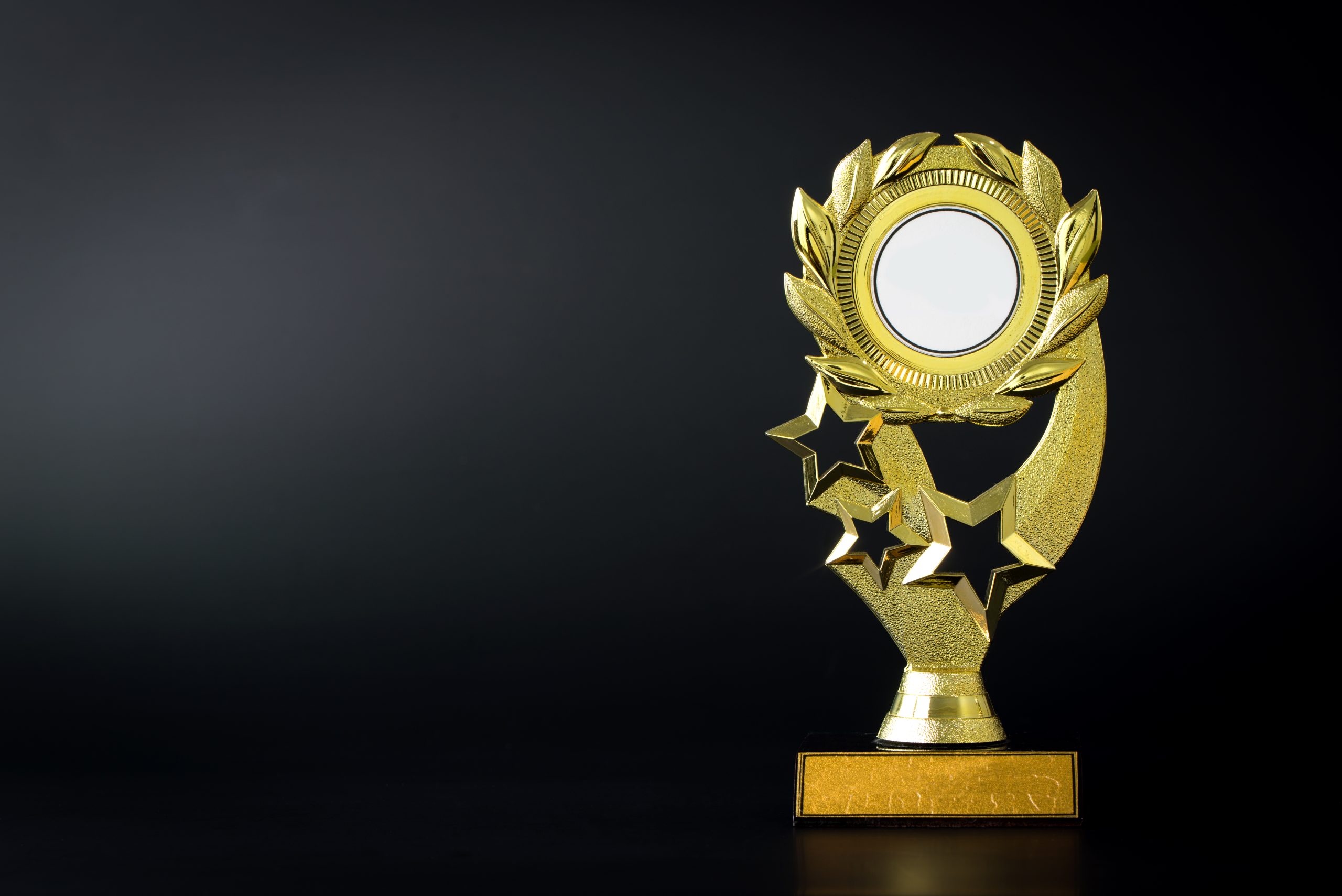 Recreatie Verkiezingen 2025 zetten sectorhelden in de spotlights