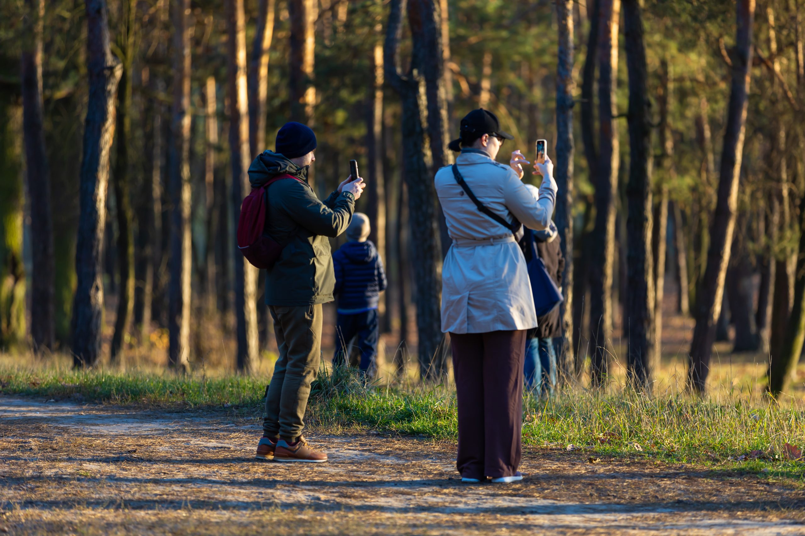 Zeldzame wintergast gespot in Assen, vogelaars in Marsdijk in de weer