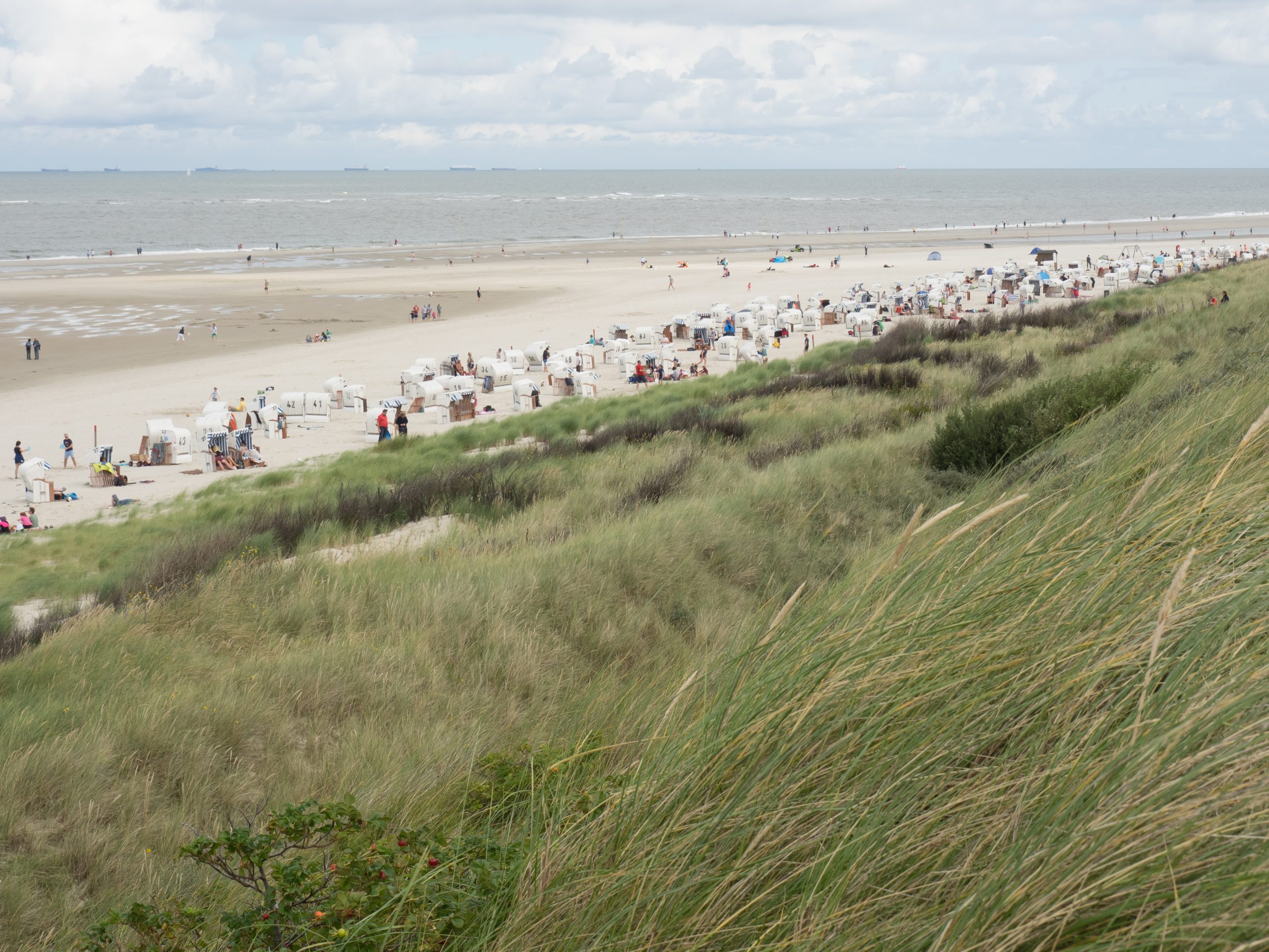 Hoorn krijgt met dijkverzwaring langste stadsstrand van Nederland