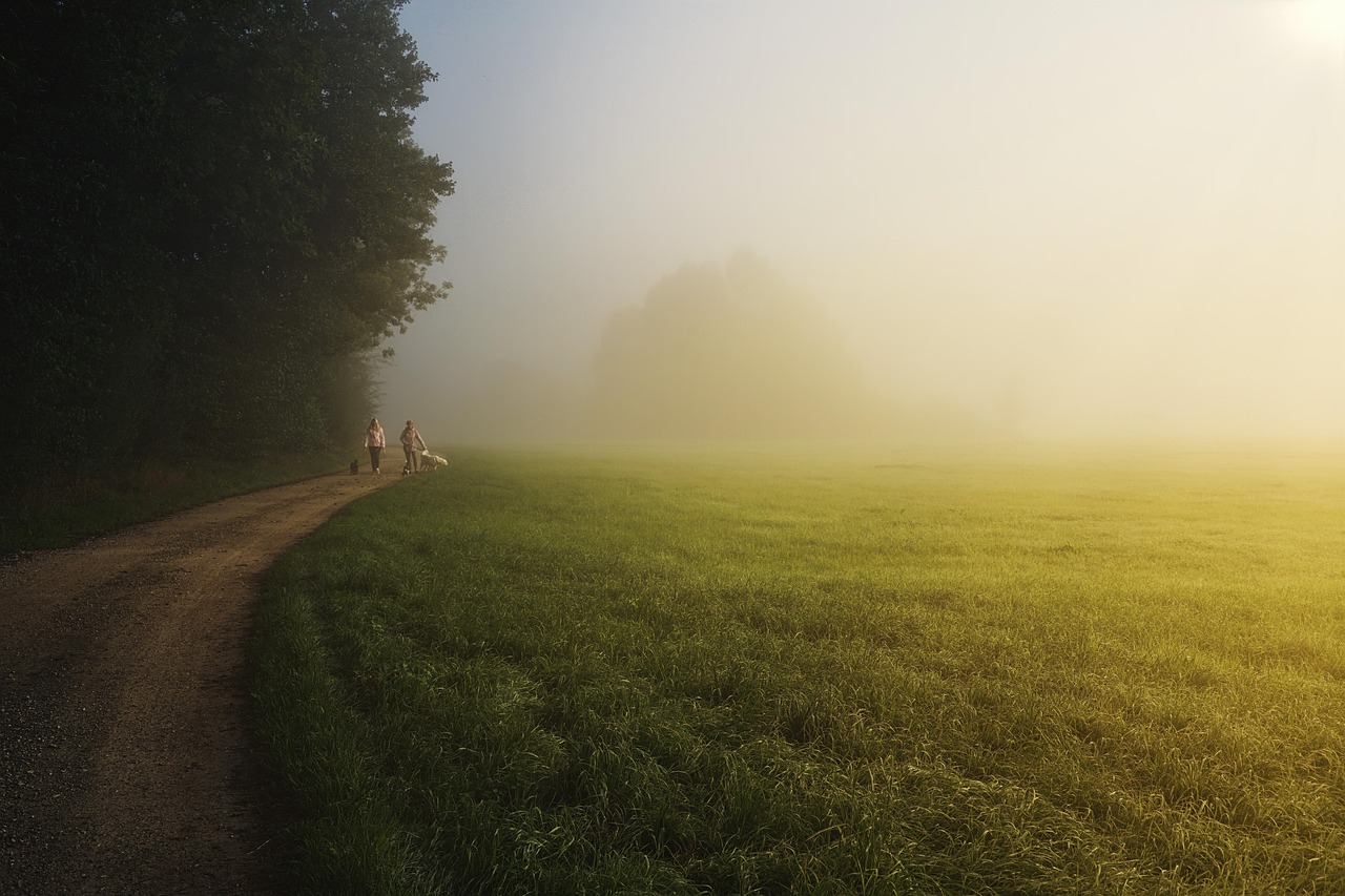 Oktober Wandelmaand trekt tienduizenden wandelaars naar de Heuvelrug en Vallei
