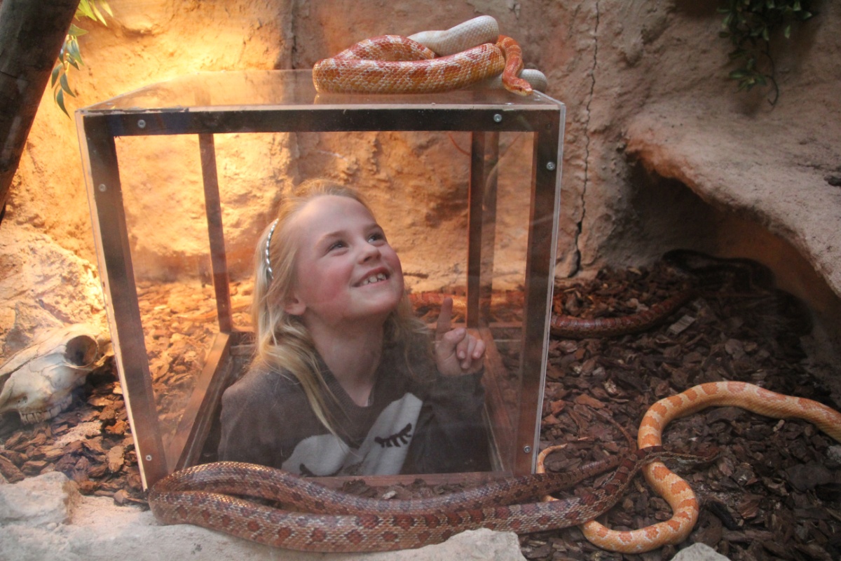Almere Jungle viert tien jaar dierentuinstatus en kijkt vooruit naar nieuwe themagebieden